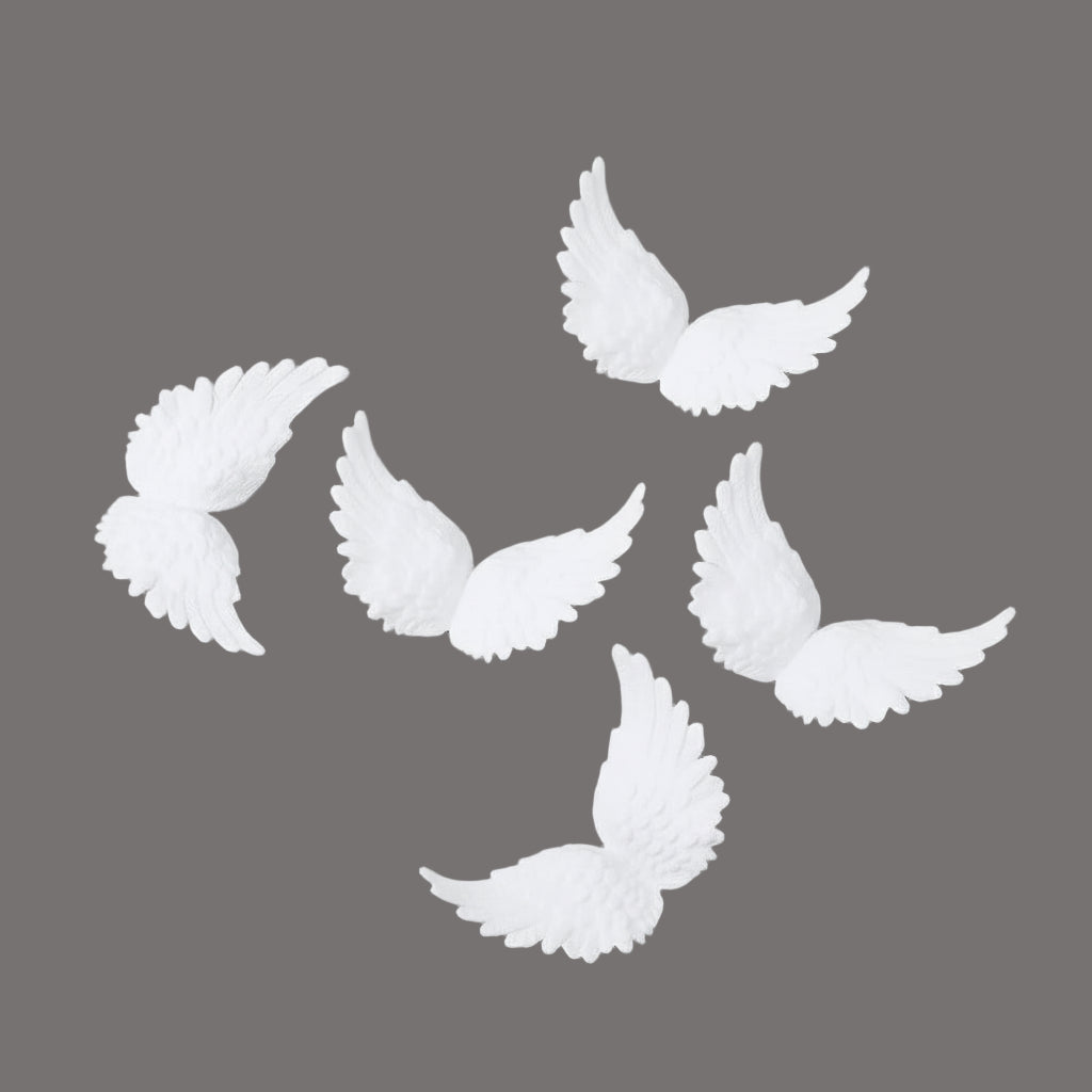 Ailes d’Ange Blanches